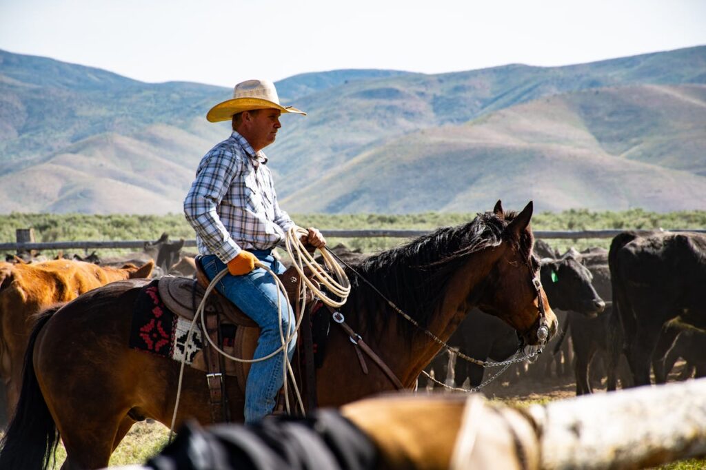 Ranching in New Mexico