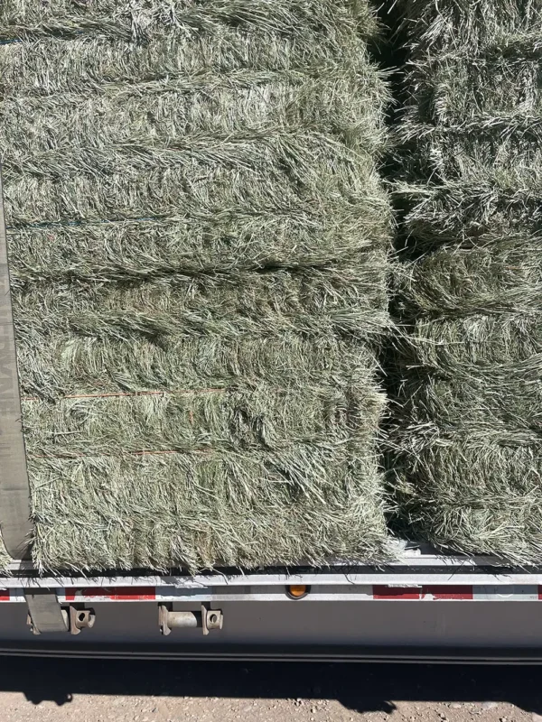 Orchard Grass Brome Hay Mix