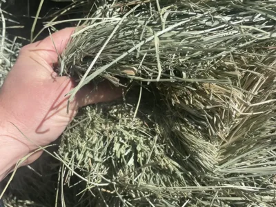 Orchard Grass Brome Hay Mix