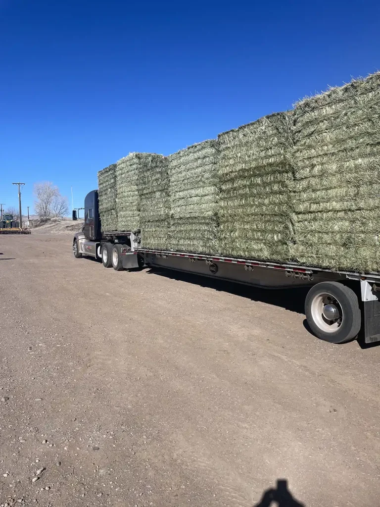 Orchard Grass Brome Hay Mix