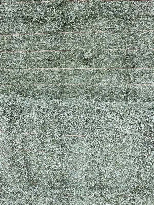 Orchard grass alfalfa hay for sale